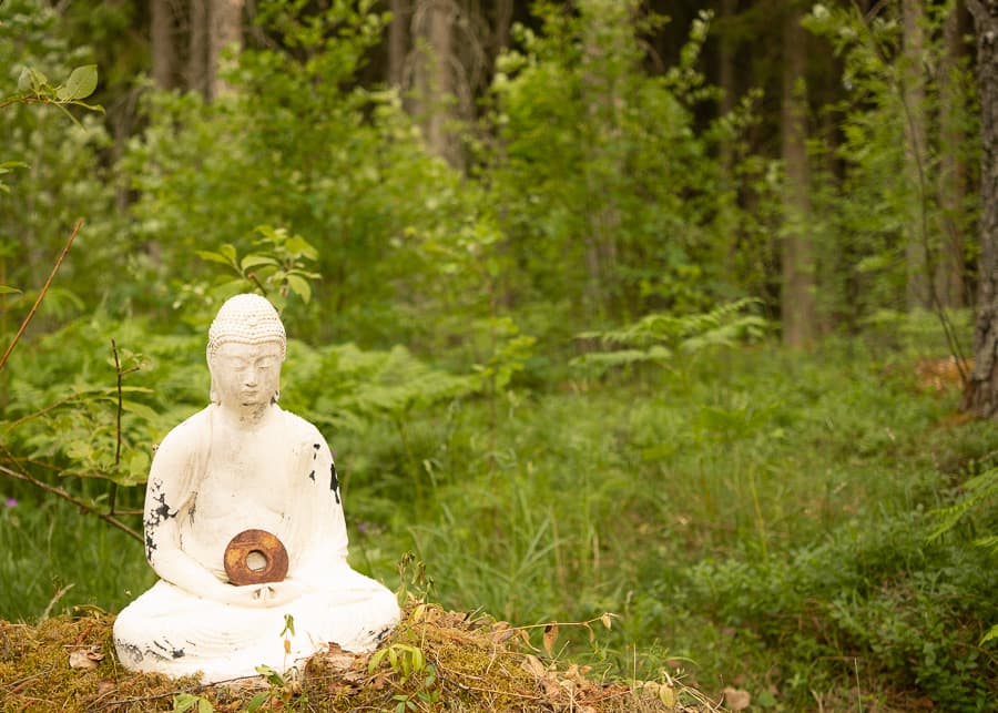 Lotus position
